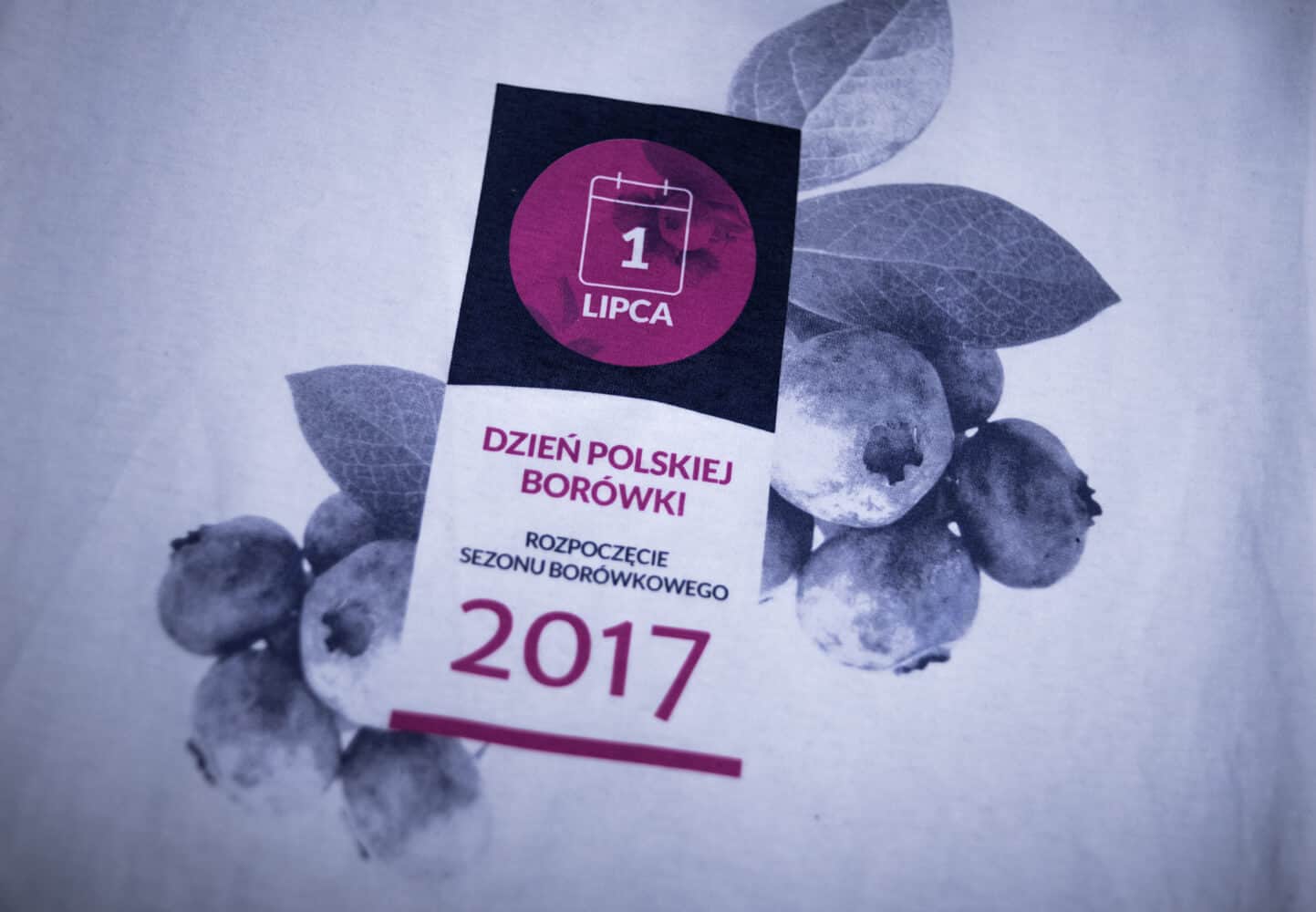 Polish blueberry day 2017